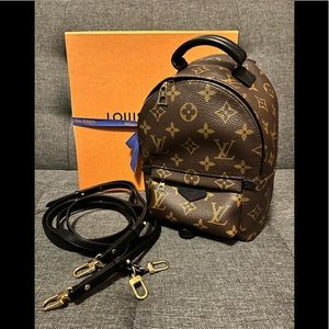 Louis Vuitton - Palm Springs Mini
